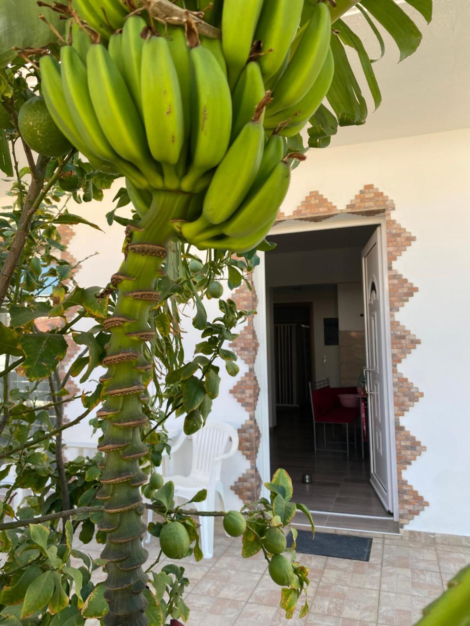 TASSOS-Haus Archangelos (Rhodes) Exterior foto